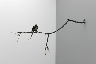 tl_files/photo/maike sander/sander vogel.jpg